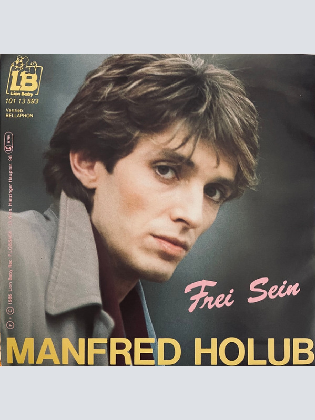 Vinyl / Manfred Holub - Frei Sein