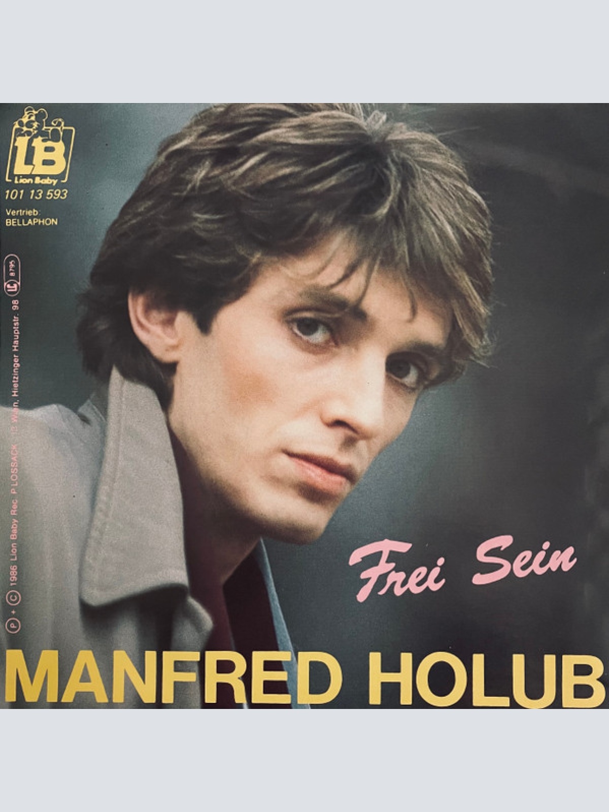 Vinyl / Manfred Holub - Frei Sein