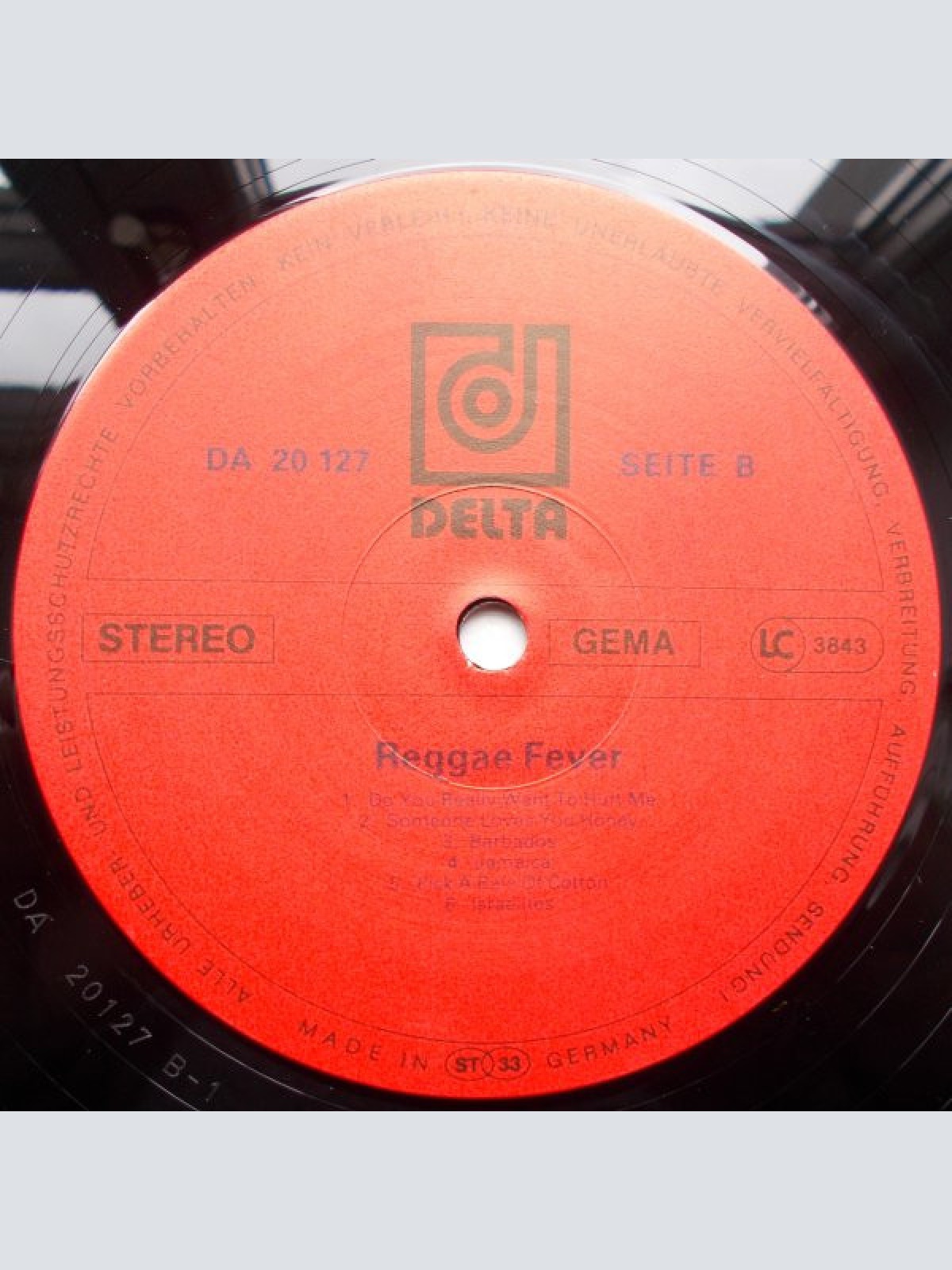 Vinyl / Bob Marvin And Band - Reggae Fever