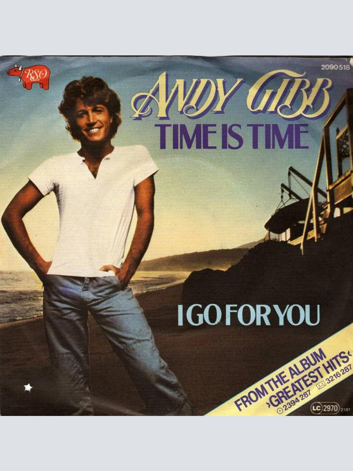 Vinyl / Andy Gibb - Time Is Time / I Go For You