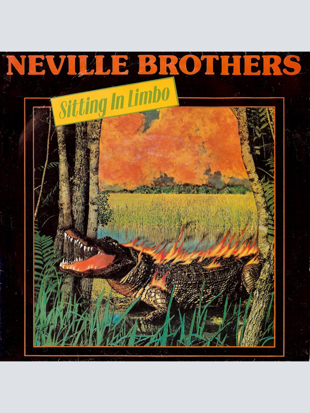 Vinyl / Neville Brothers* - Sitting In Limbo
