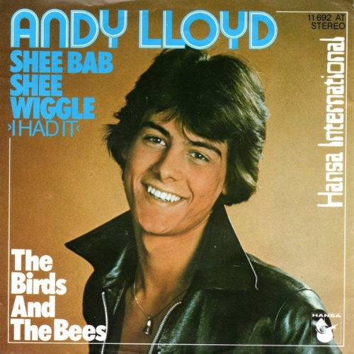 Vinyl / Andy Lloyd - Shee Bab Shee Wiggle (I Had It)