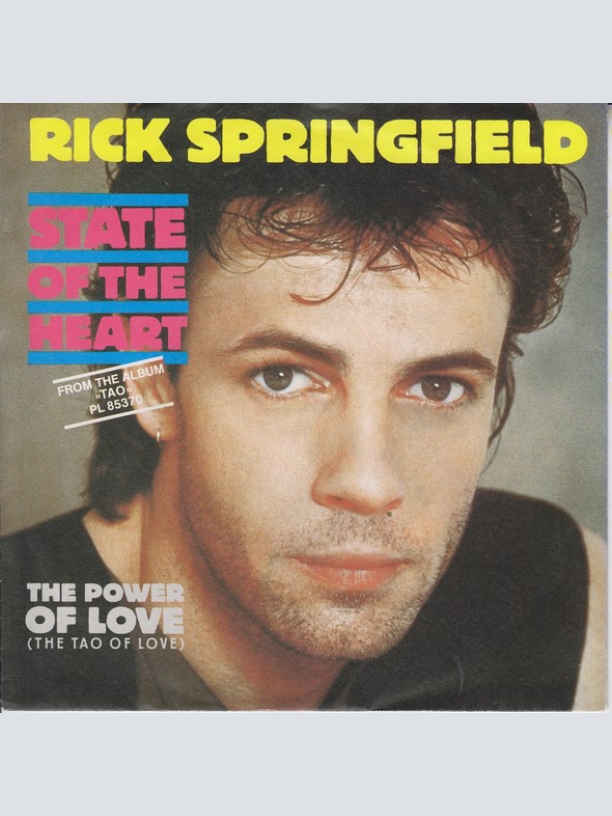 Vinyl / Rick Springfield - State Of The Heart