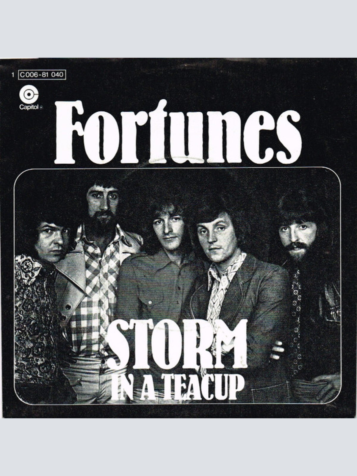 Vinyl / Fortunes* - Storm In A Teacup