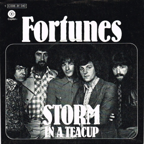 Vinyl / Fortunes* - Storm In A Teacup