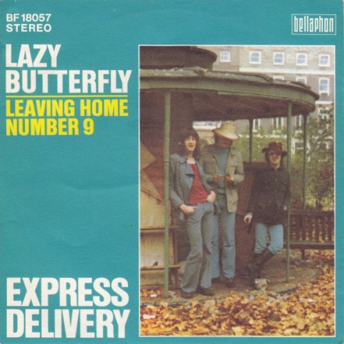Vinyl / Express Delivery - Lazy Butterfly