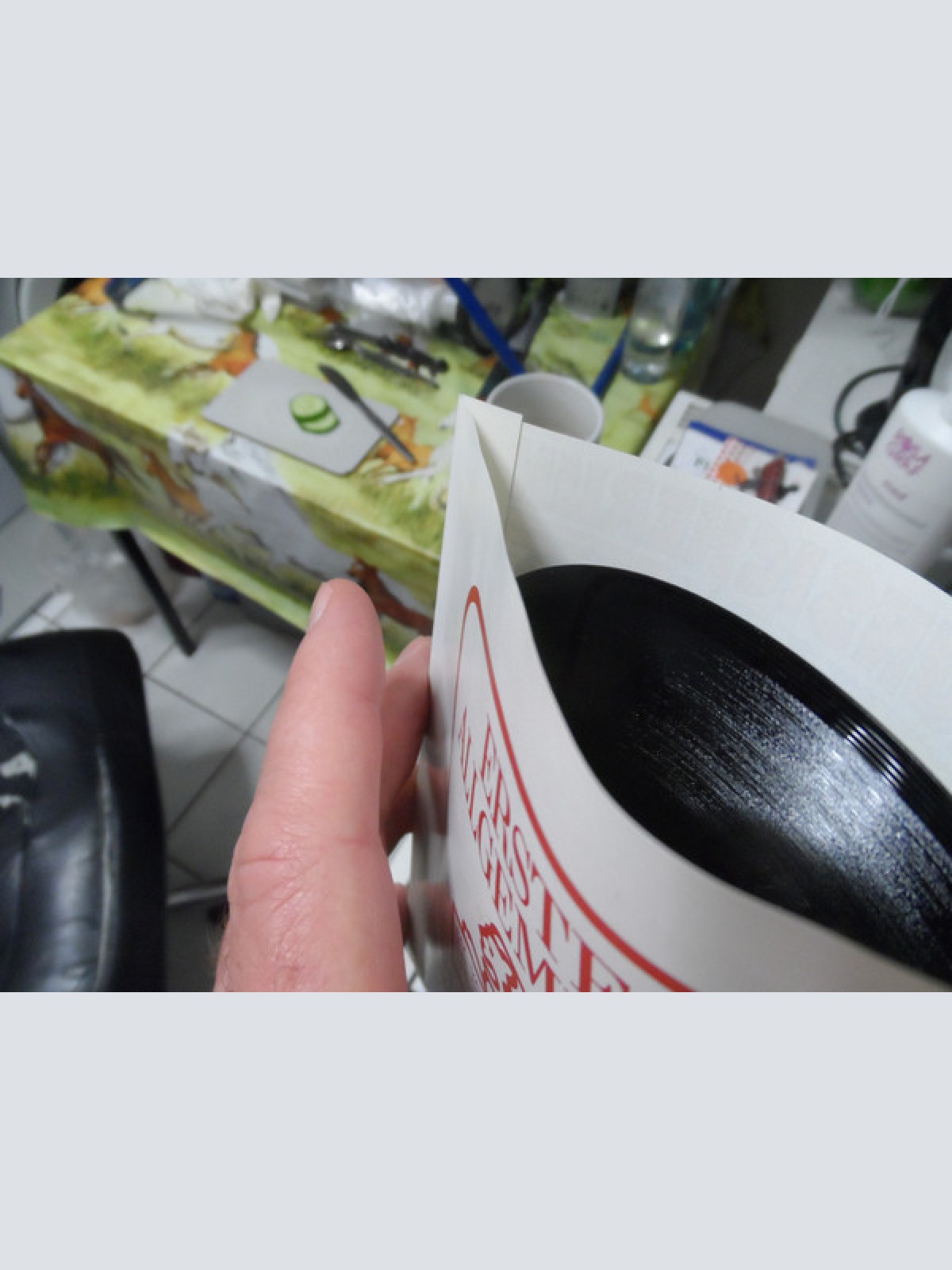 Vinyl / Erste Allgemeine Verunsicherung* - An Der Copacabana