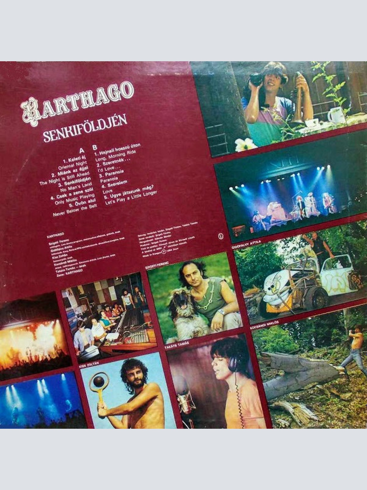 Vinyl / Karthago (2) - Senkiföldjén