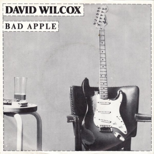 Vinyl / David Wilcox (2) - Bad Apple