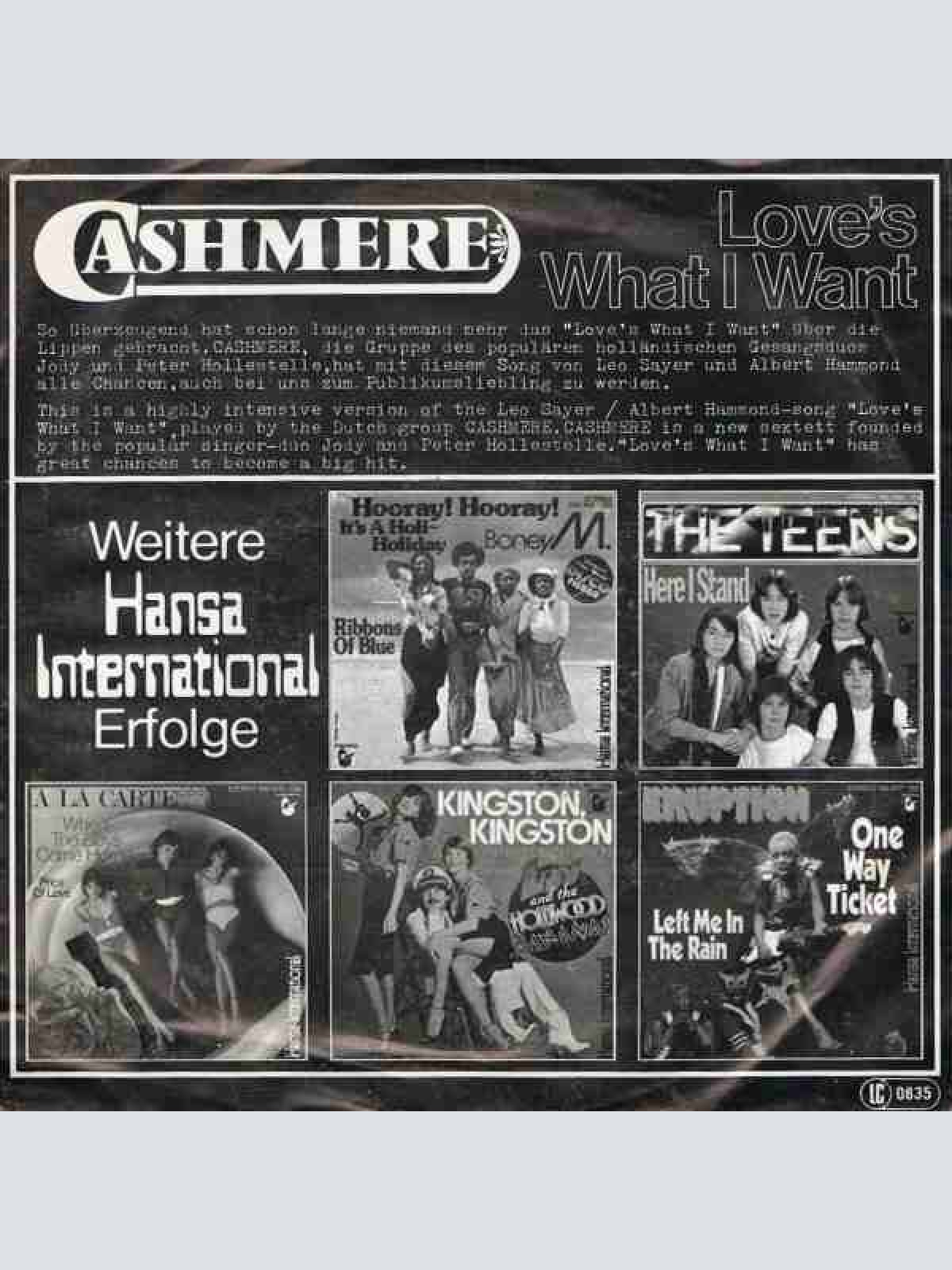 Vinyl / Cashmere - Love's What I Want