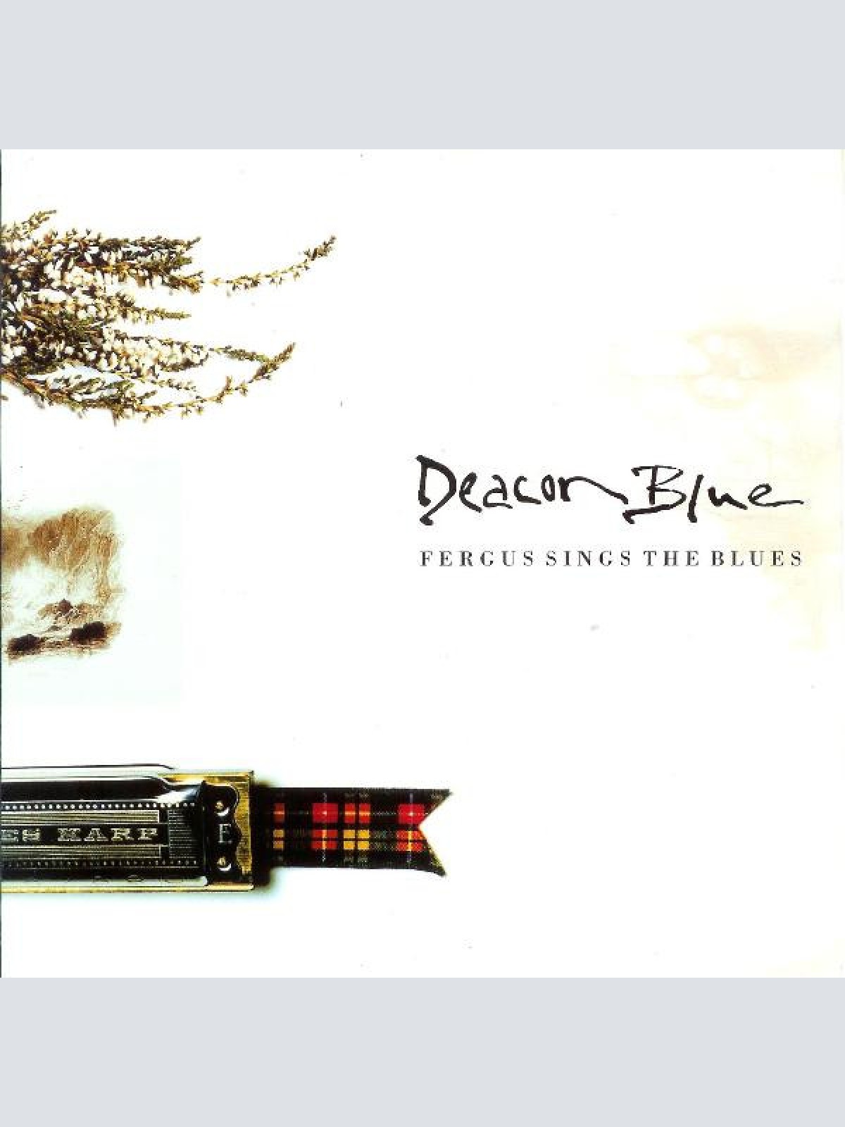 Vinyl / Deacon Blue - Fergus Sings The Blues