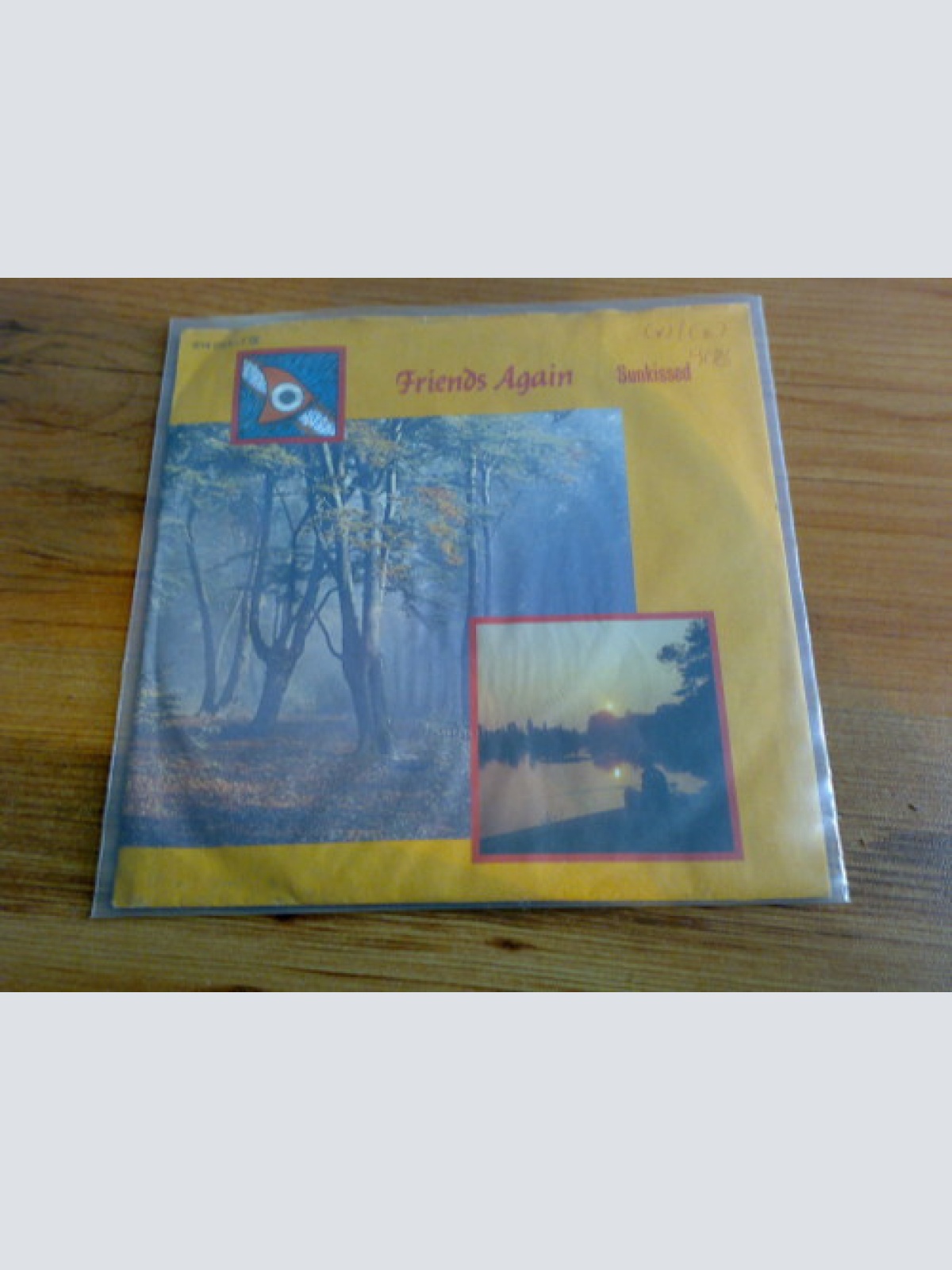 Vinyl / Friends Again - Sunkissed