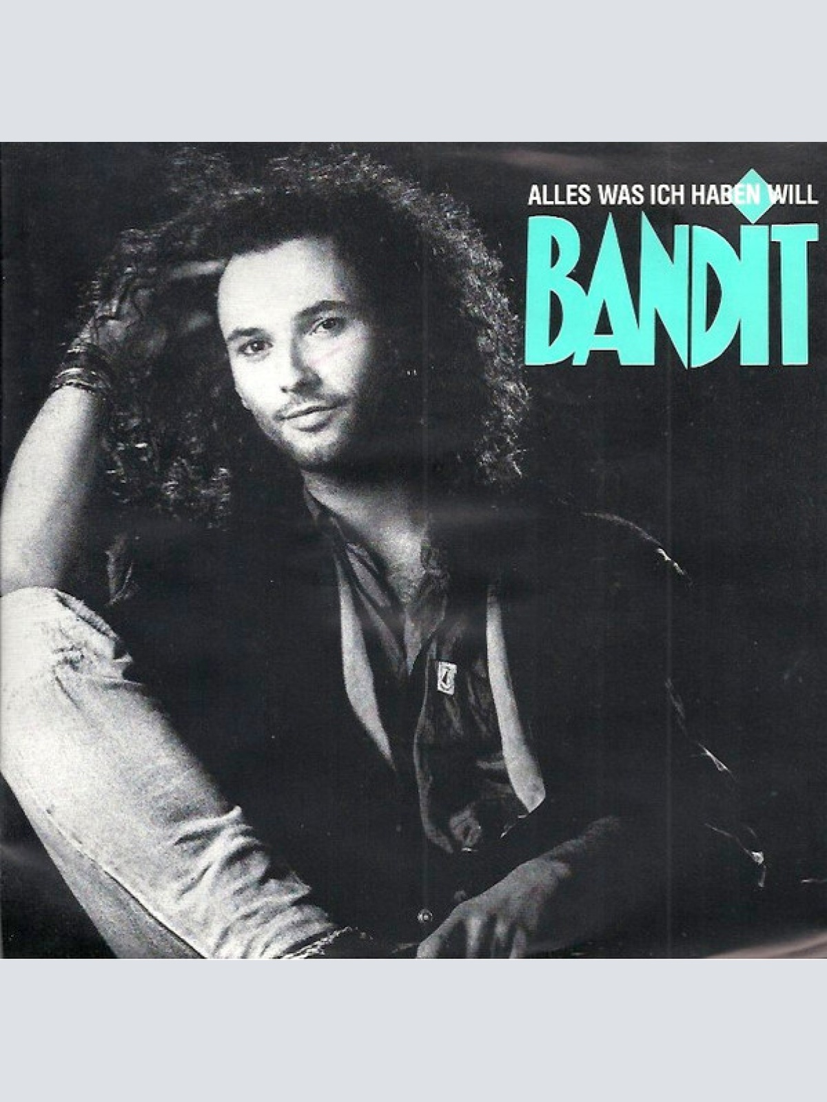 Vinyl / Bandit (6) - Alles Was Ich Haben Will