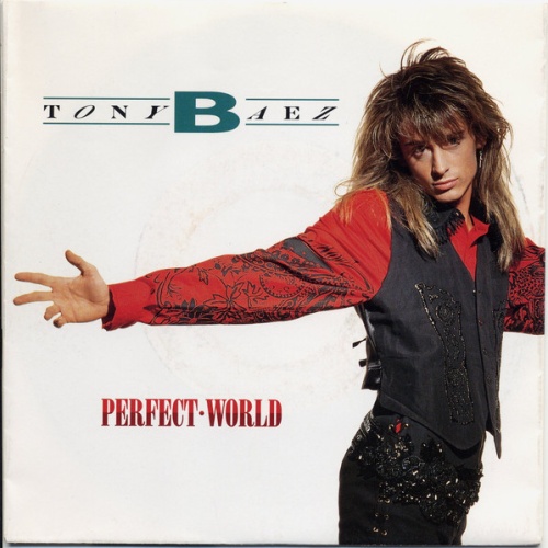 Vinyl / Tony Baez - Perfect World