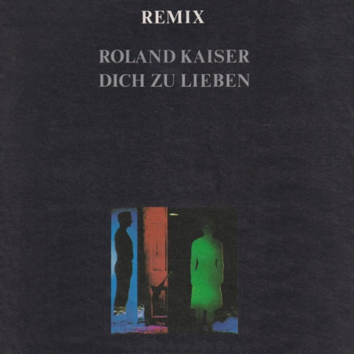 Vinyl / Roland Kaiser - Dich Zu Lieben (Remix)