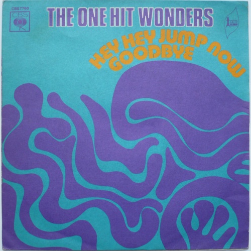 Vinyl / The One Hit Wonders - Hey Hey Jump Now / Goodbye