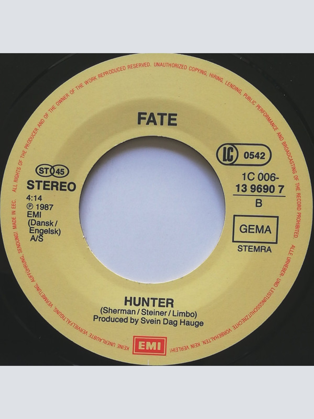 Vinyl / Fate (5) - Summerlove (Single-Remix)