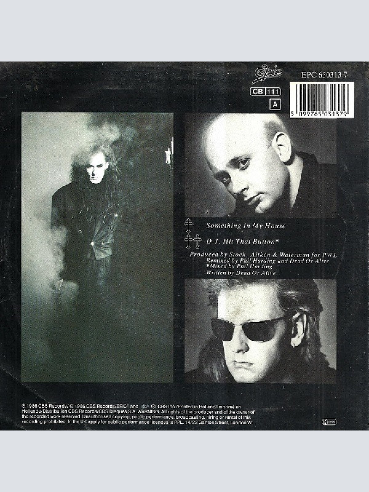 Vinyl / Dead Or Alive - Something In My House