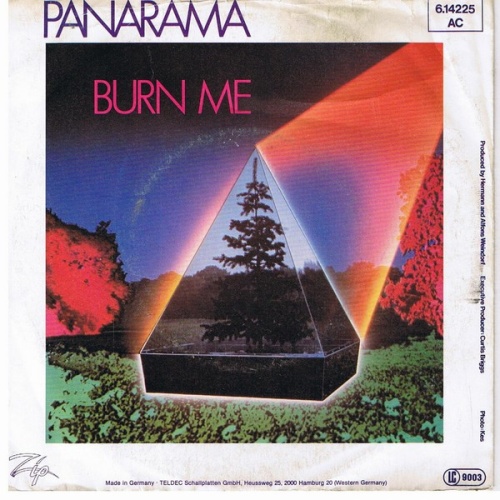 Vinyl / Panarama - Burn Me