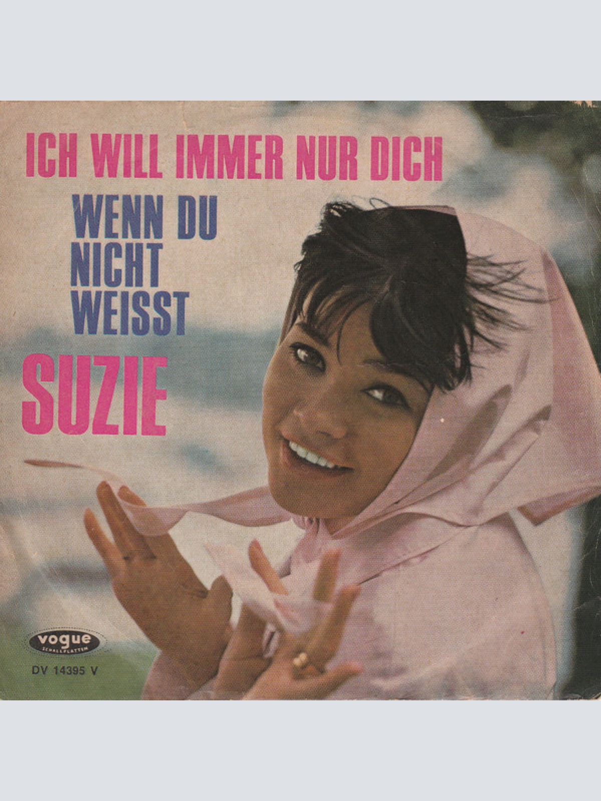 Vinyl / Suzie (2) - Ich Will Immer Nur Dich / Wenn Du Nicht Weisst