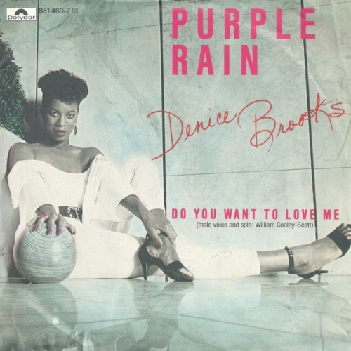 Vinyl / Denice Brooks - Purple Rain