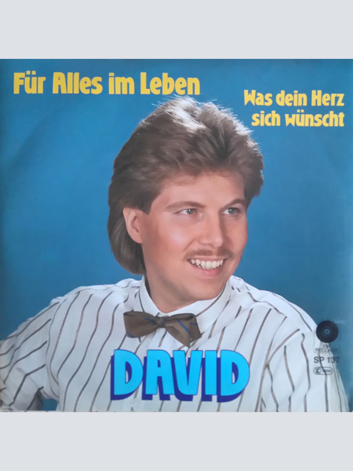 Vinyl / David (27) - Für Alles Im Leben