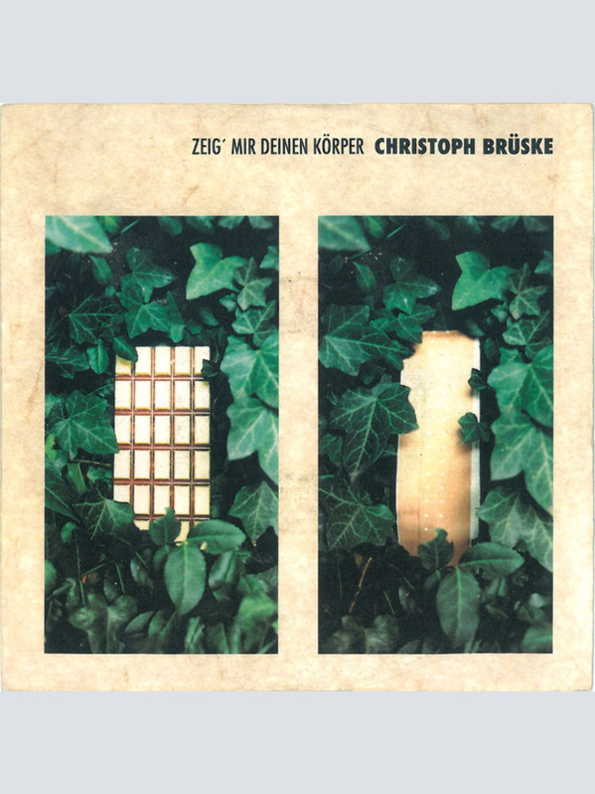 Vinyl / Christoph Brüske - Zeig Mir Deinen Körper