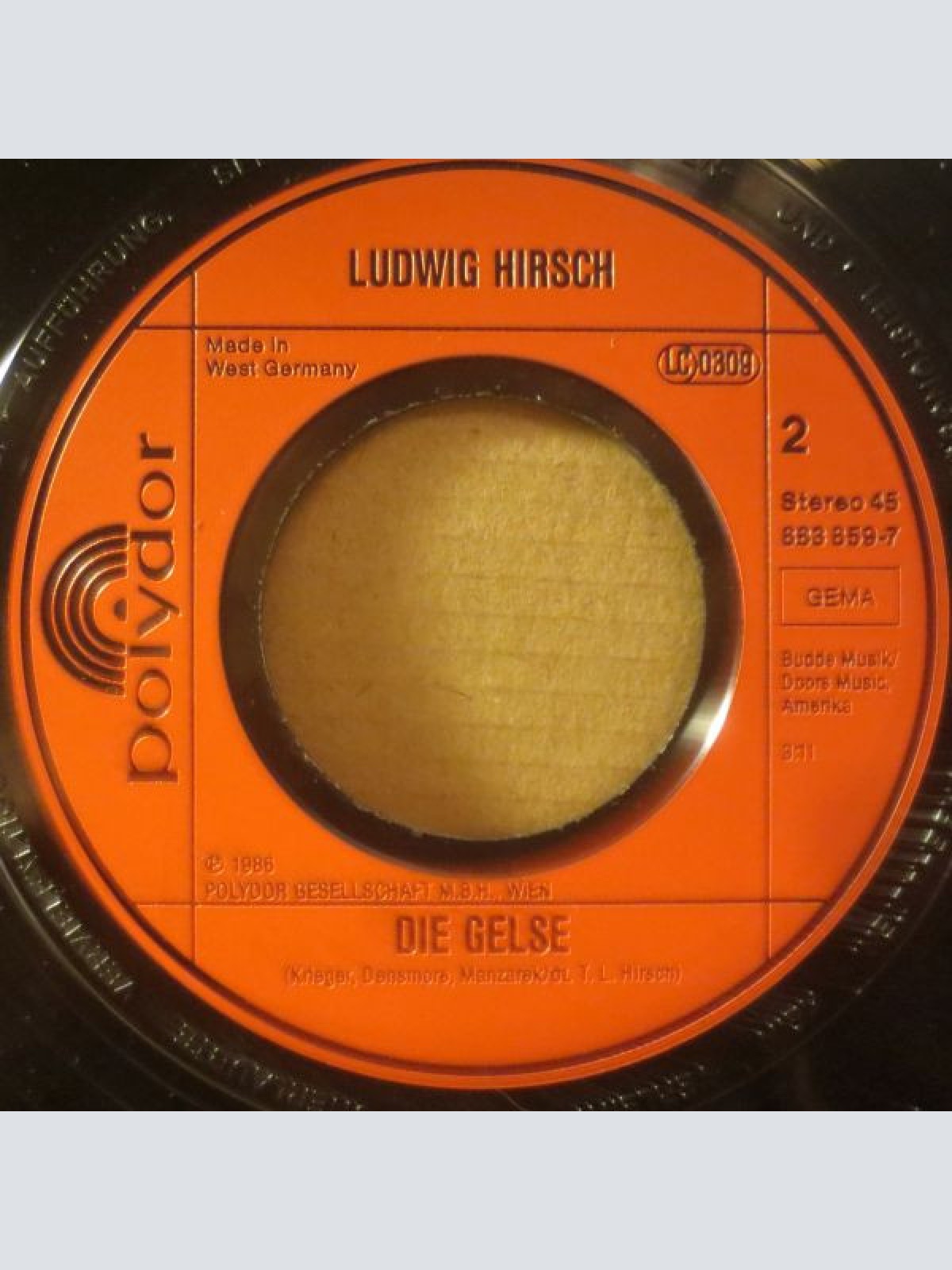 Vinyl / Ludwig Hirsch - Heidelbeerberg