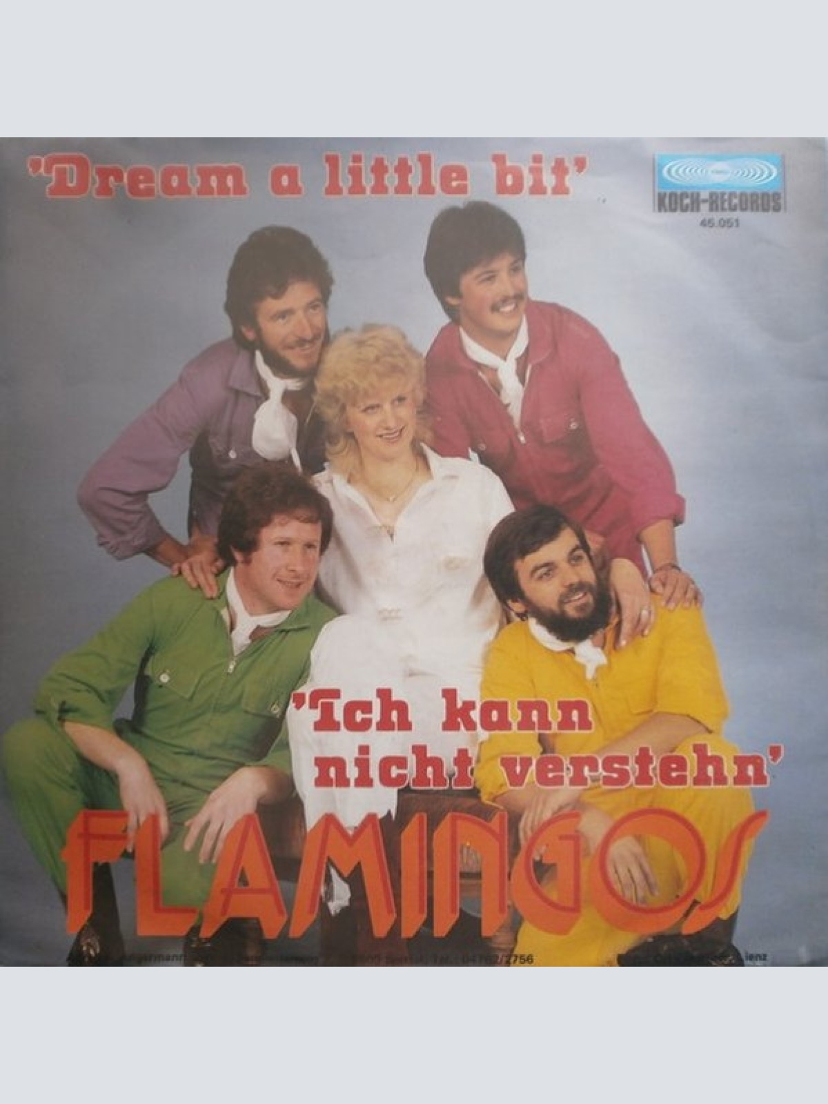 Vinyl / Flamingos (4) - Ich Kann Nicht Verstehn