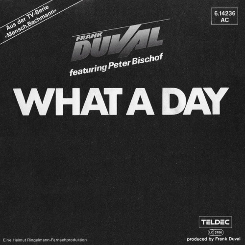 Vinyl / Frank Duval Featuring Peter Bischof - What A Day