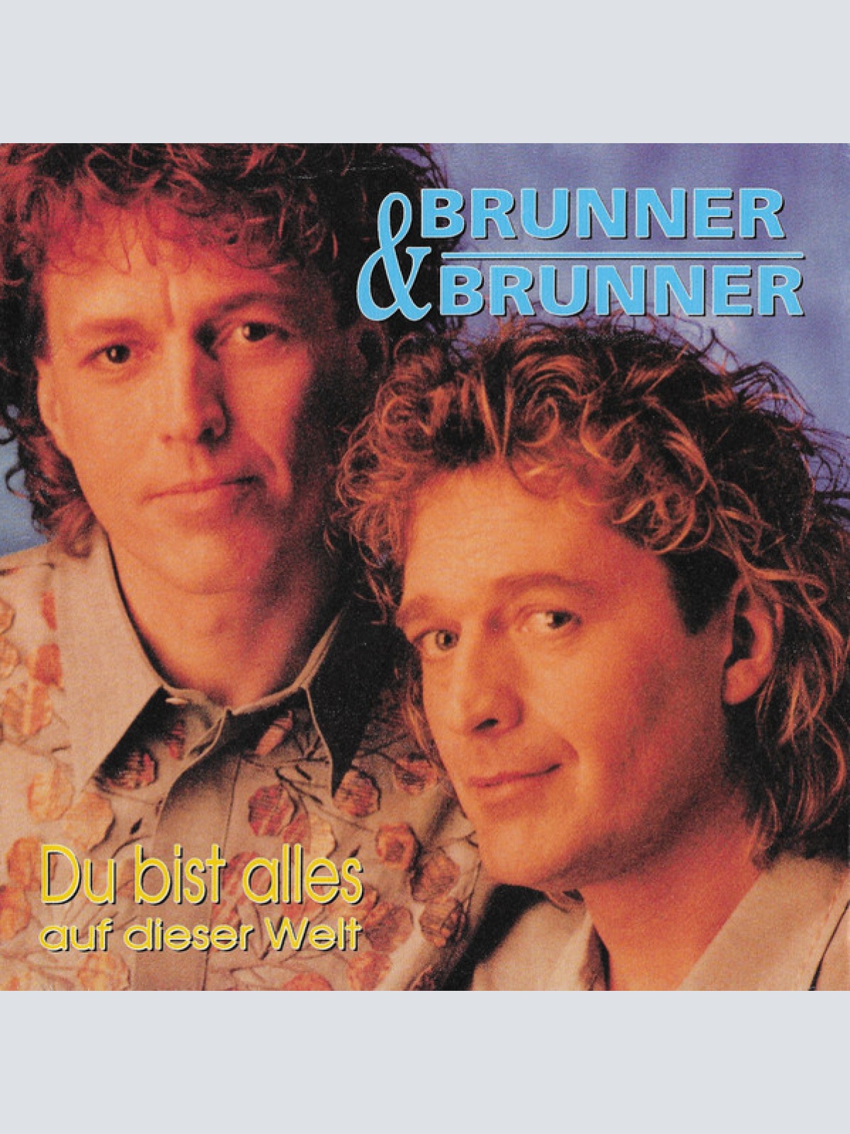 Vinyl / Brunner & Brunner - Du Bist Alles Auf Dieser Welt