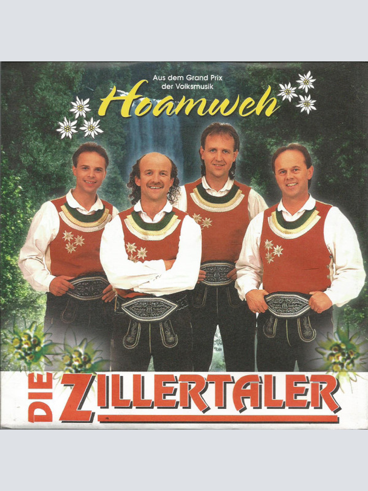 Vinyl / Die Zillertaler - Hoamweh