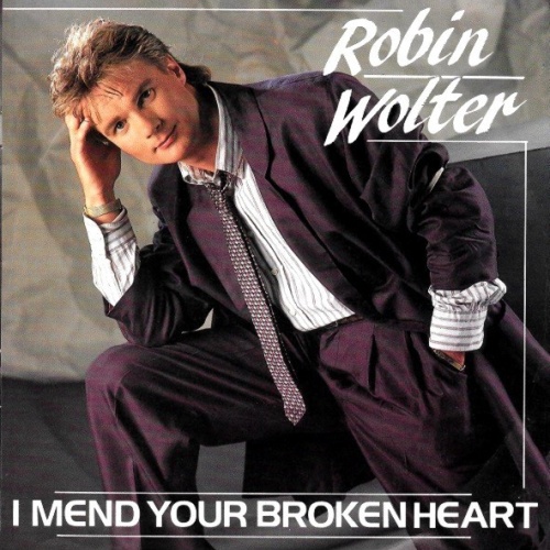 Vinyl / Robin Wolter - I Mend Your Broken Heart