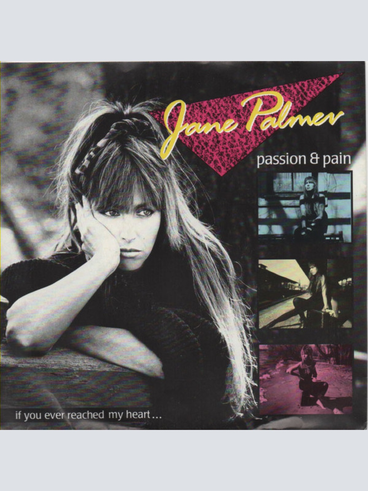 Vinyl / Jane Palmer - Passion & Pain