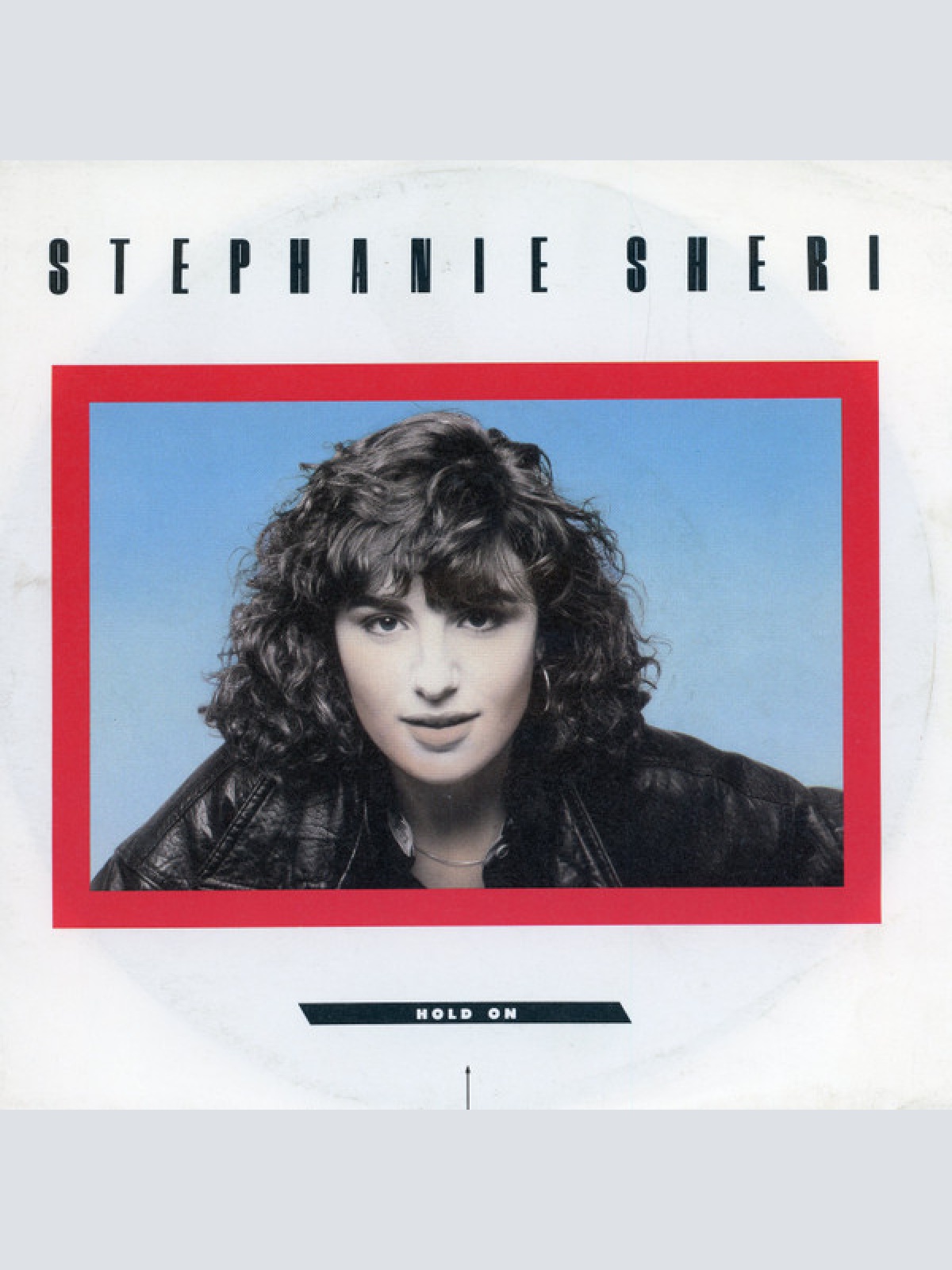 Vinyl / Stephanie Sheri - Hold On