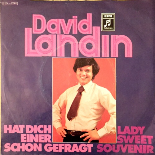 Vinyl / David Landin - Hat Dich Einer Schon Gefragt