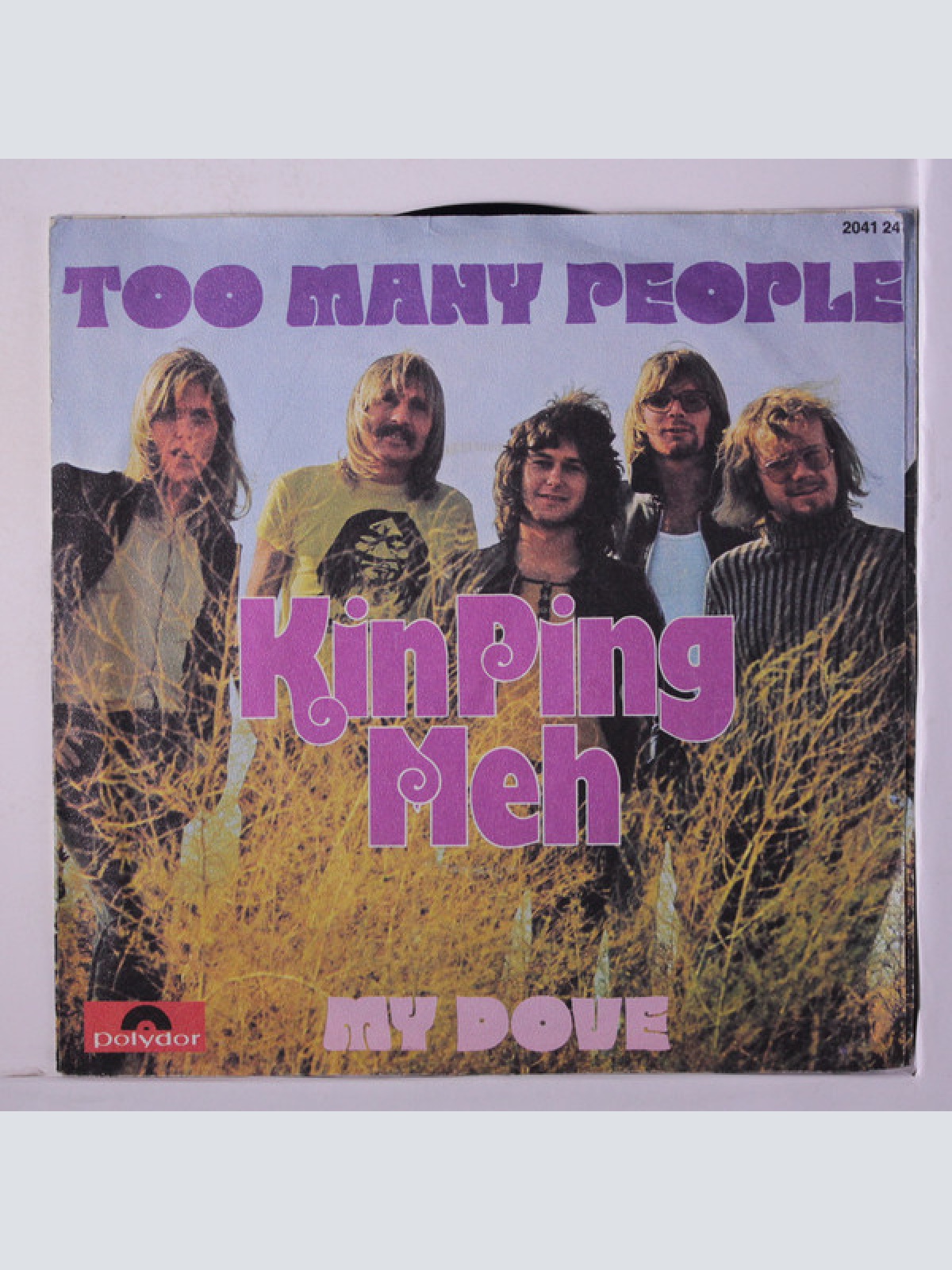 Vinyl / Kin Ping Meh - Too Many People