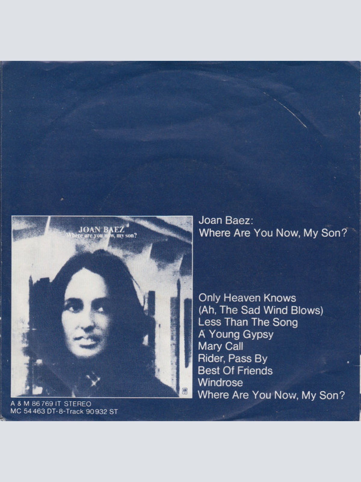 Vinyl / Joan Baez - Less Than The Song