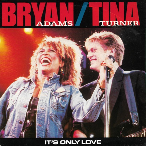 Vinyl / Bryan Adams / Tina Turner - It's Only Love