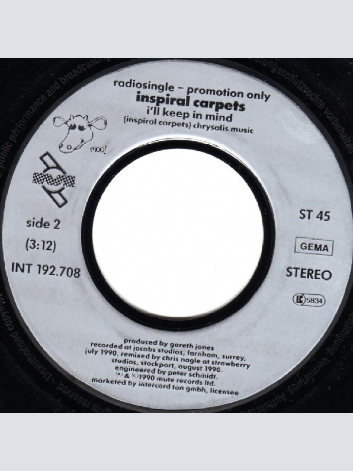 Vinyl / Inspiral Carpets - Biggest Mountain