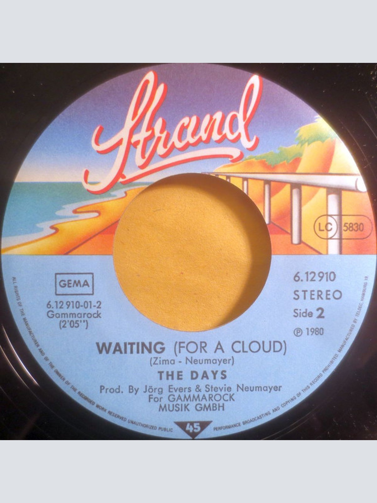 Vinyl / The Days - You Can't Fool Me