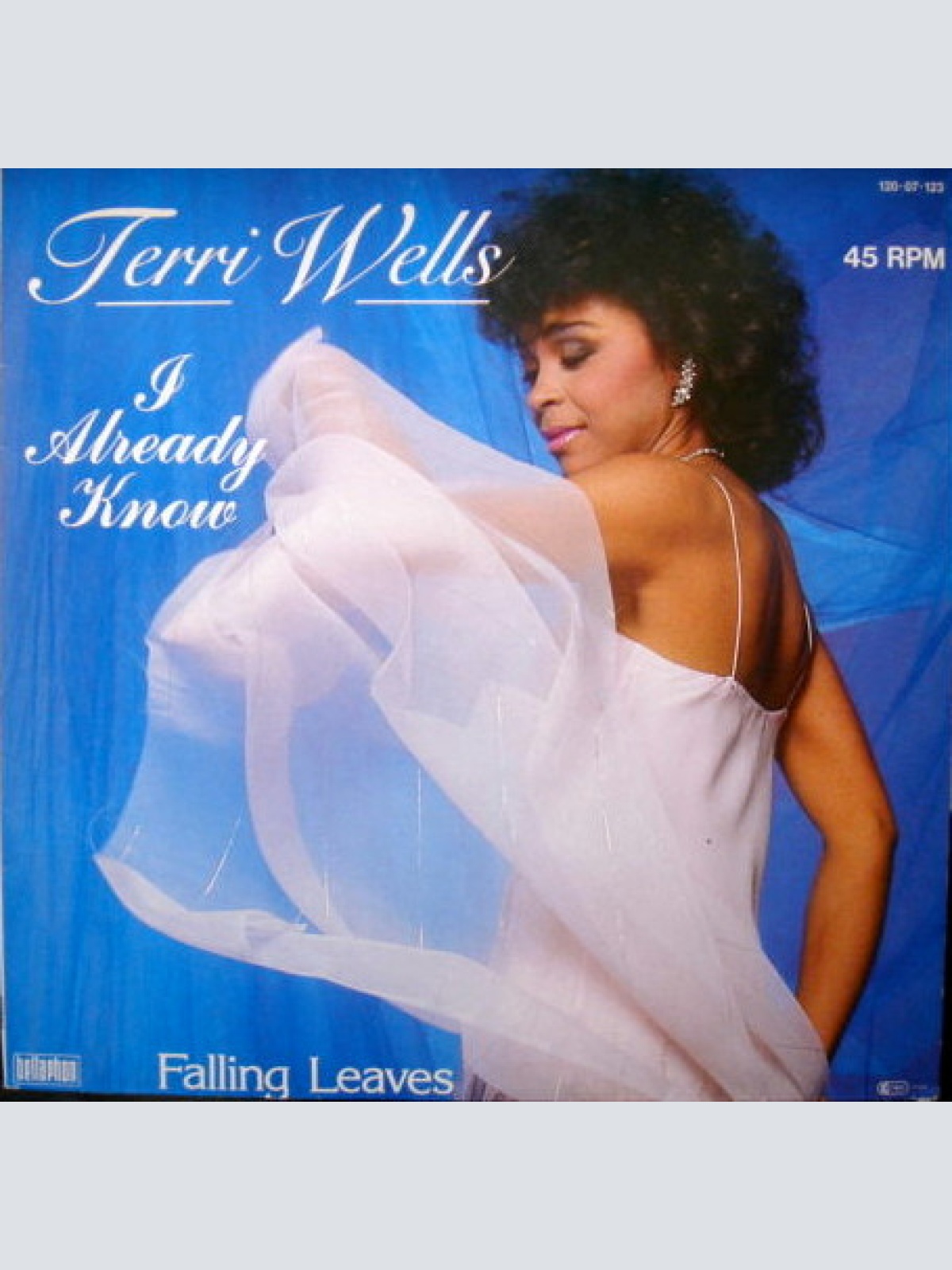 Vinyl / Terri Wells - I Already Know
