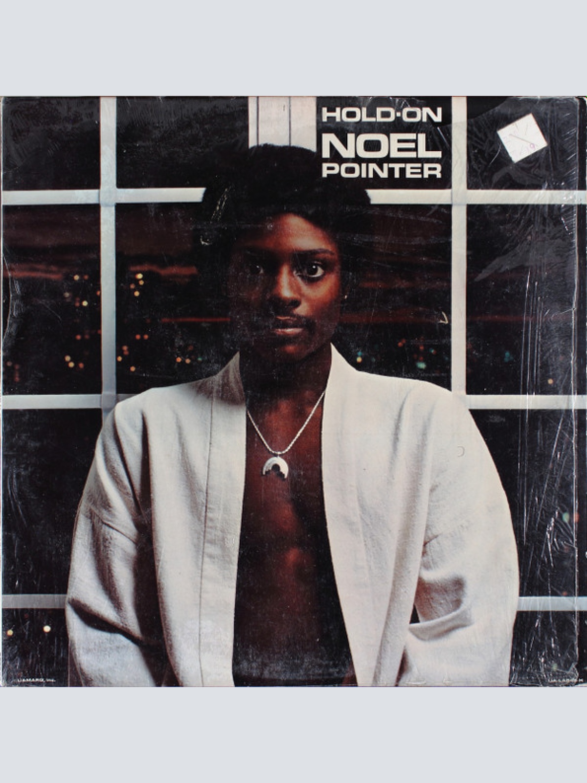 Vinyl / Noel Pointer - Hold On