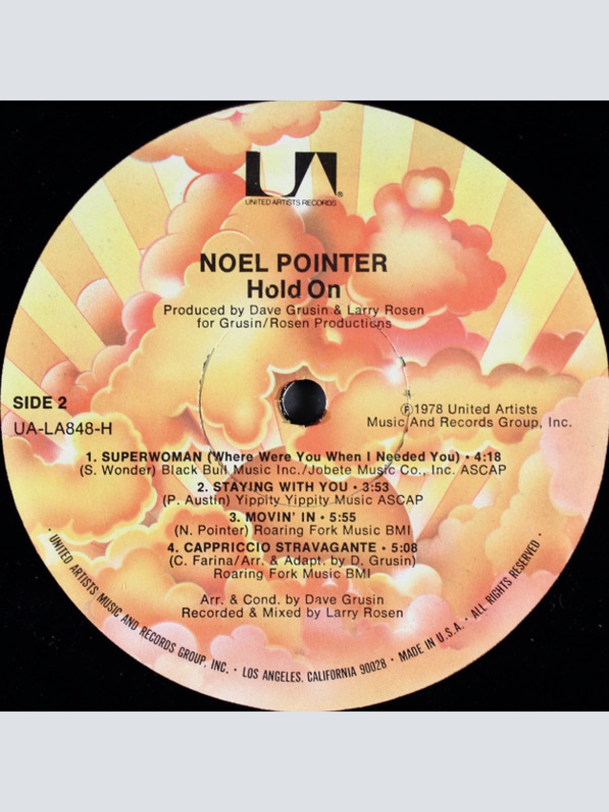 Vinyl / Noel Pointer - Hold On