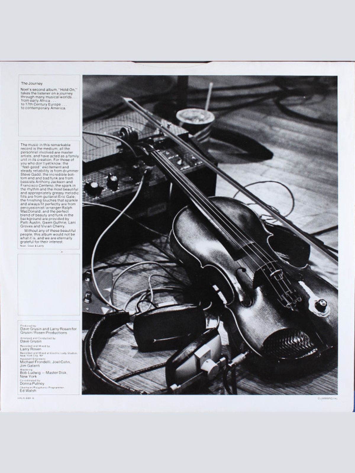 Vinyl / Noel Pointer - Hold On