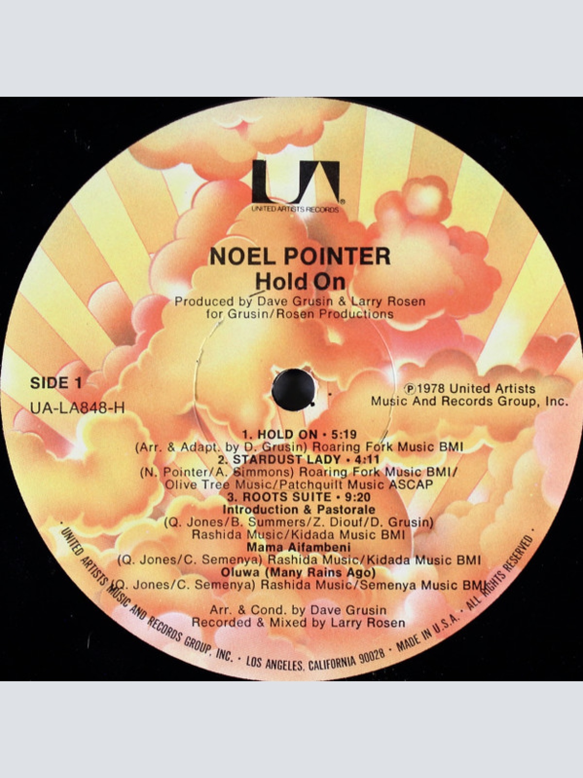 Vinyl / Noel Pointer - Hold On
