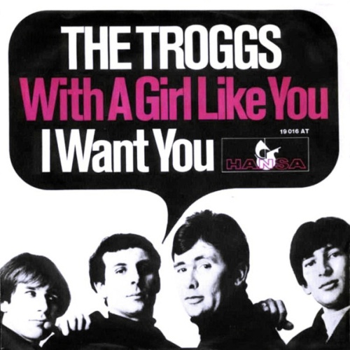 Vinyl / The Troggs - With A Girl Like You / I Want You