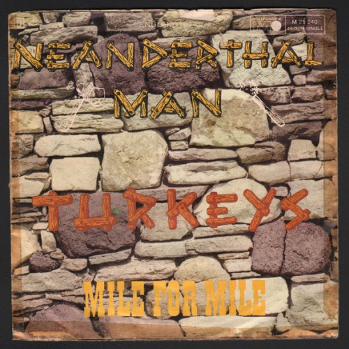 Vinyl / Turkeys - Neanderthal Man