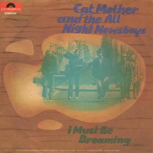 Vinyl / Cat Mother And The All-Night Newsboys - I Must Be Dreaming