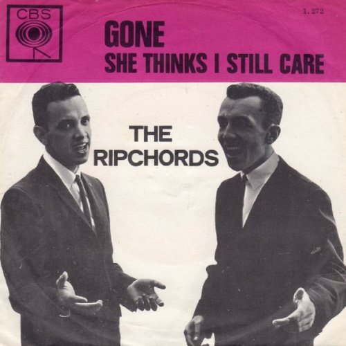 Vinyl / The Rip Chords - Gone / She Thinks I Still Care